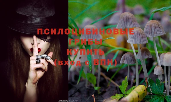 MDMA Premium VHQ Медвежьегорск