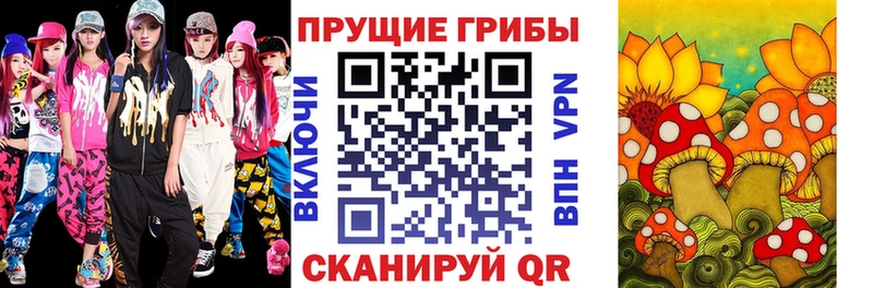 Галлюциногенные грибы Psilocybine cubensis  Струнино 